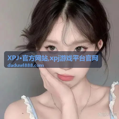 XPJ·官方网站平台使用说明封面
